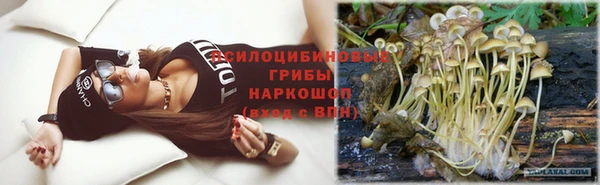 дживик Покров