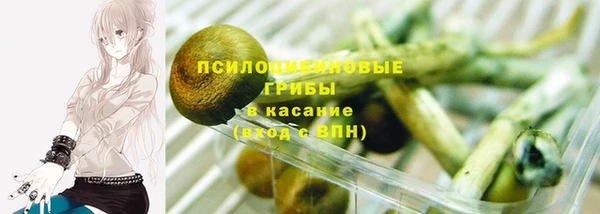 дживик Покров